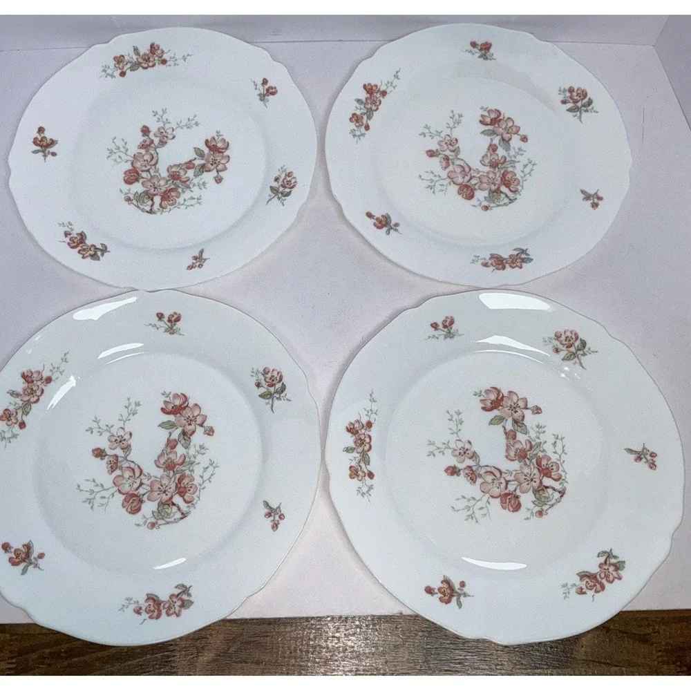 Lot 5 Vintage Arcopal France Florentine Cherry Blossom 10